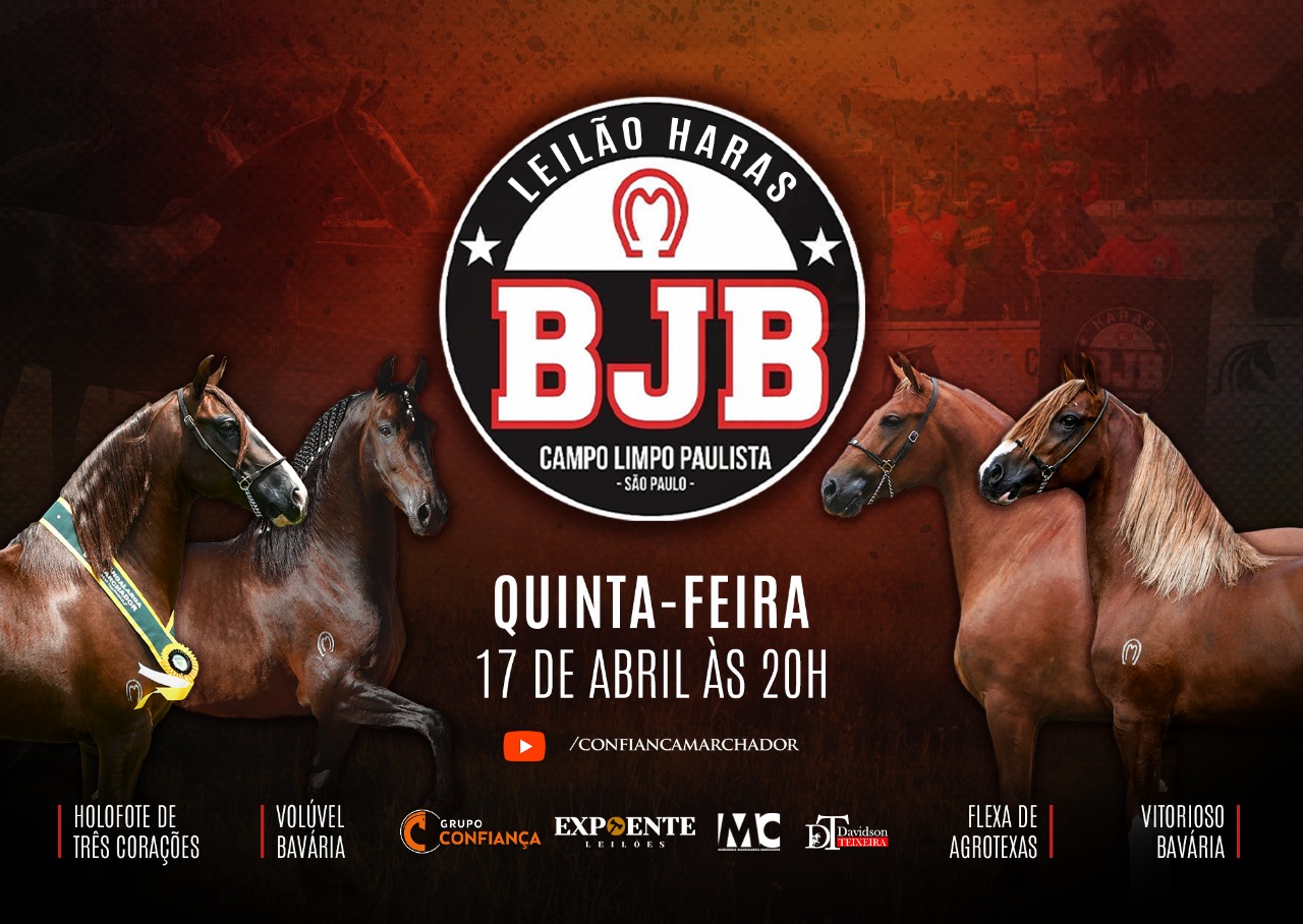 I LEILÃO CRIAÇÃO HARAS BJB