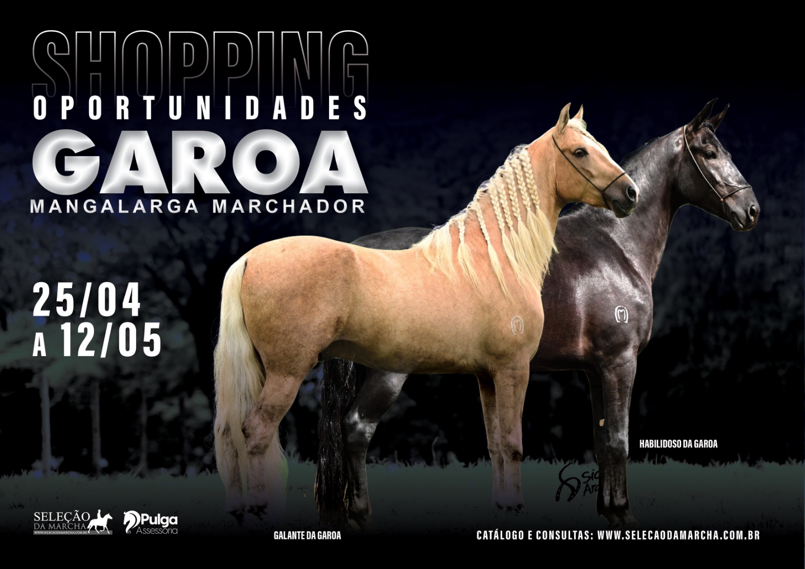 Imagem Evento
