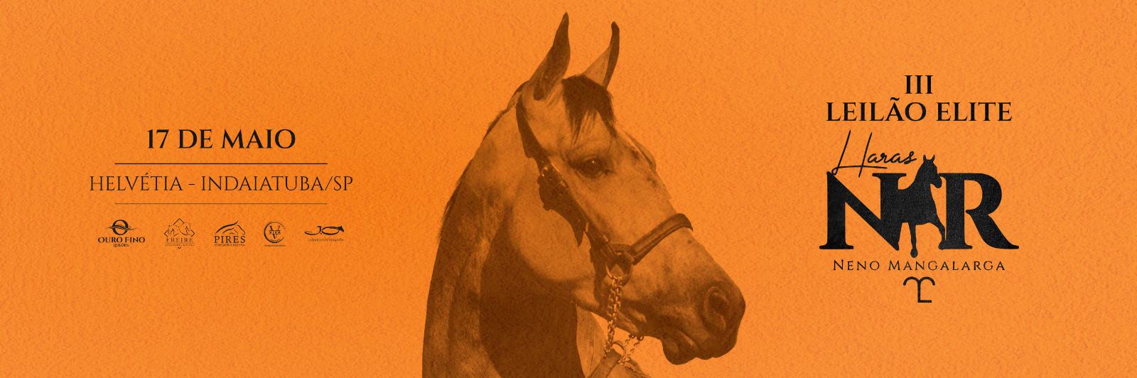 3º LEILÃO ELITE HARAS NR