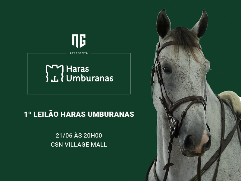 1º LEILÃO NG HARAS UMBURANAS RJ