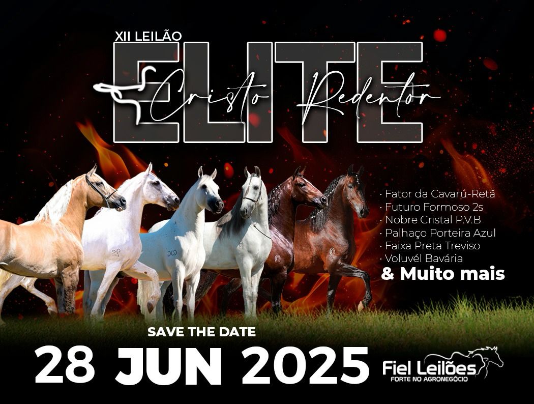 Banner Evento
