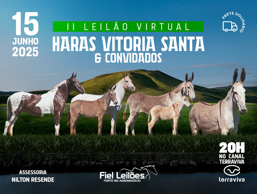 Banner Evento