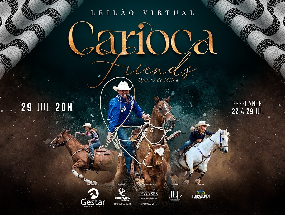 LEILÃO VIRTUAL CARIOCA FRIENDS