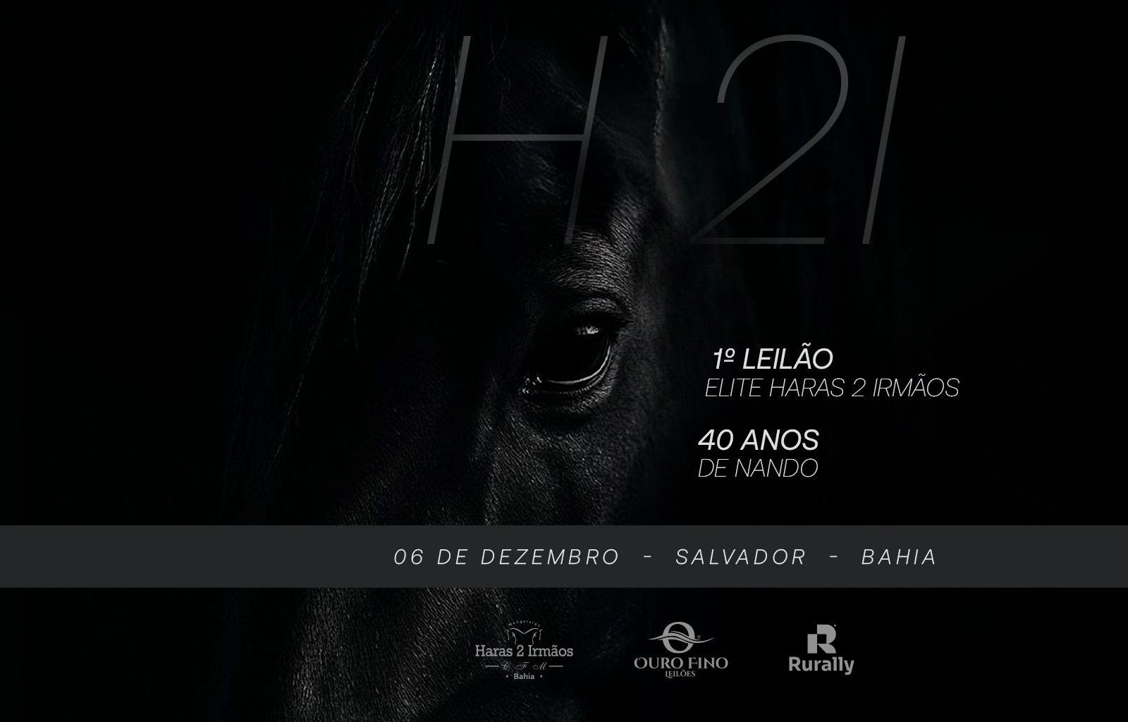1º LEILÃO ELITE HARAS 2 IRMÃOS