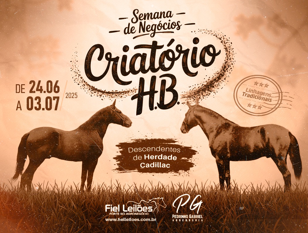 Banner Leilão