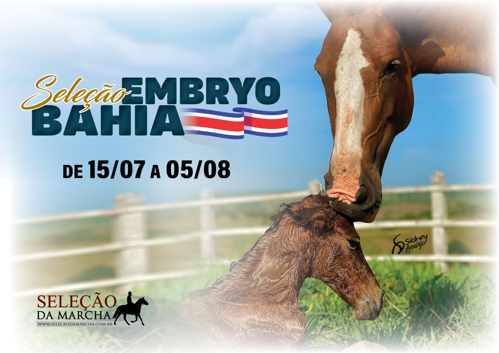 Imagem Evento