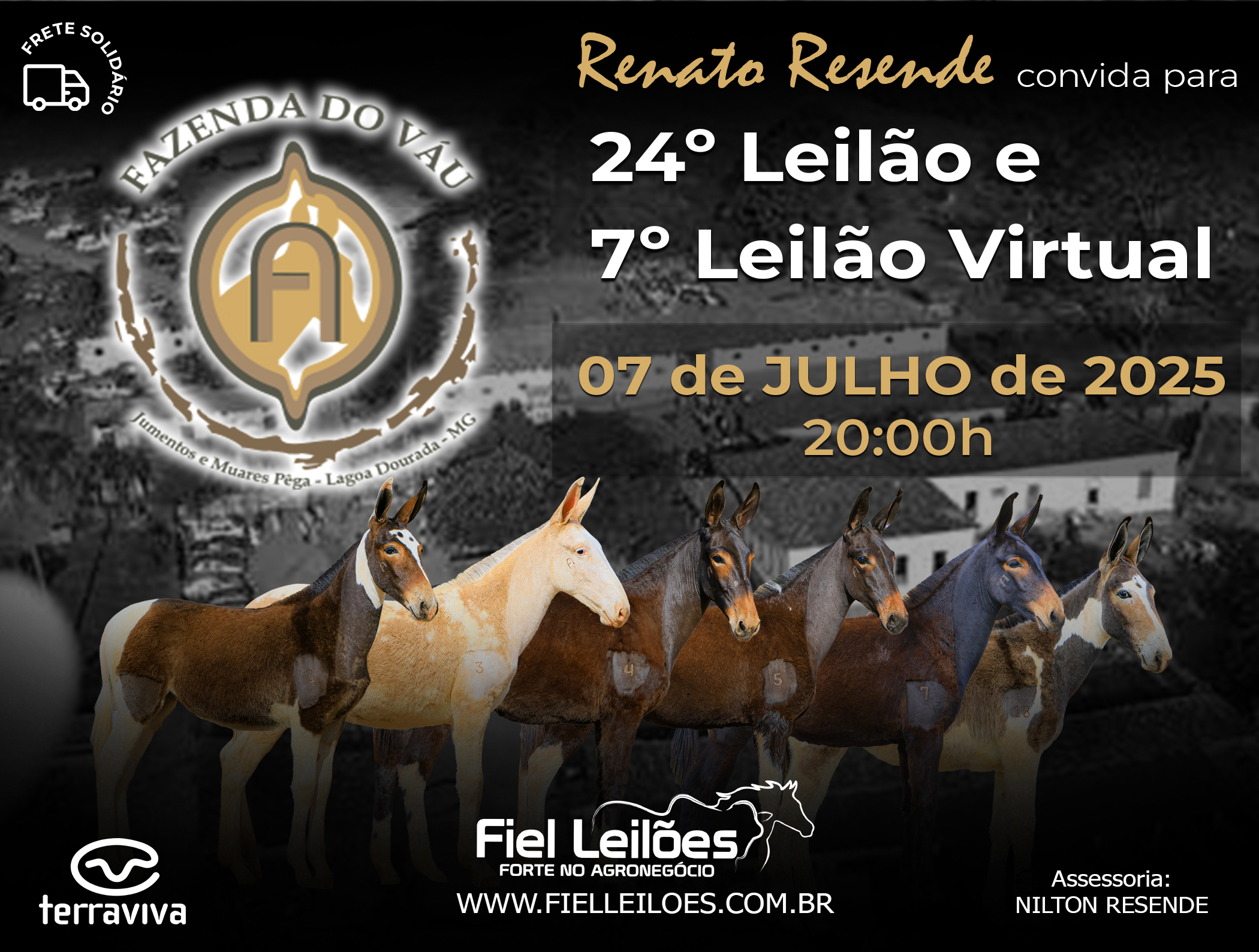 Banner Leilão