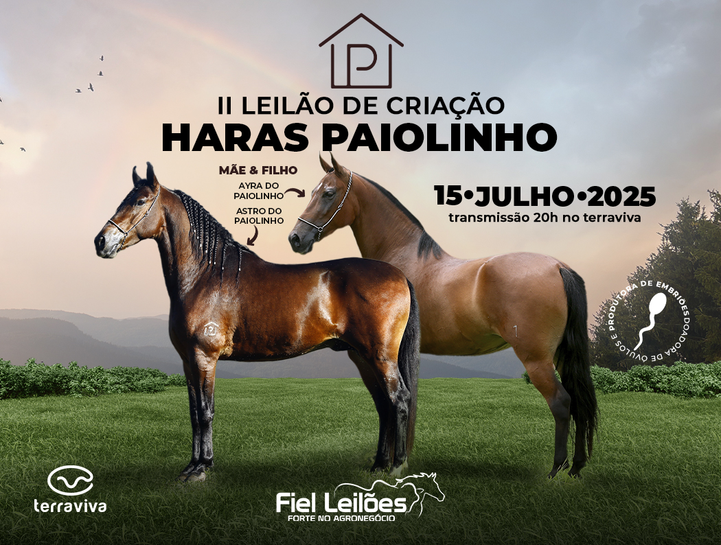 Banner Evento