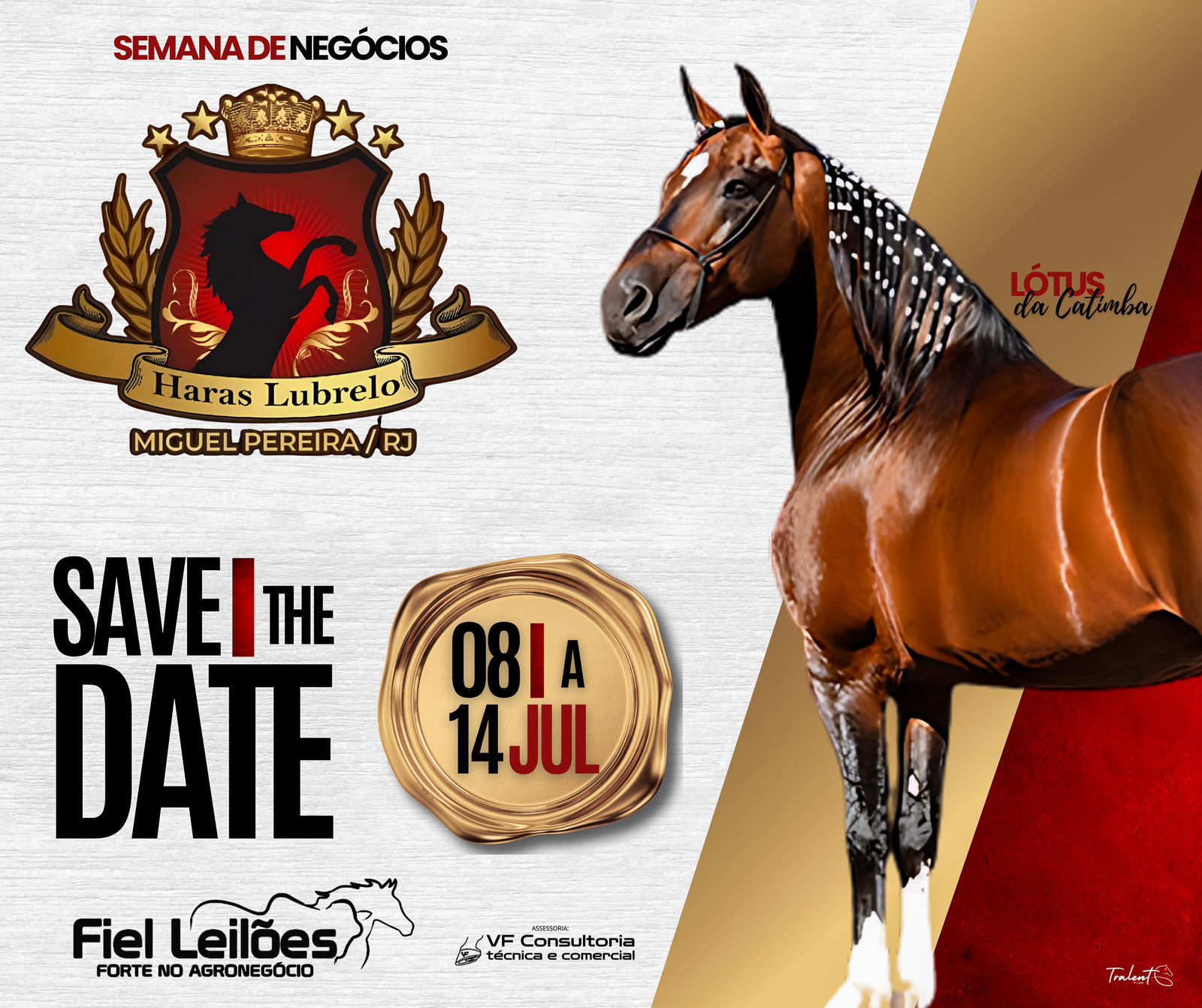 Banner Evento