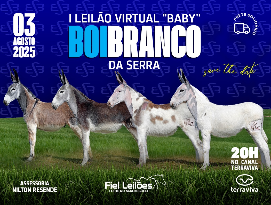 Banner Evento