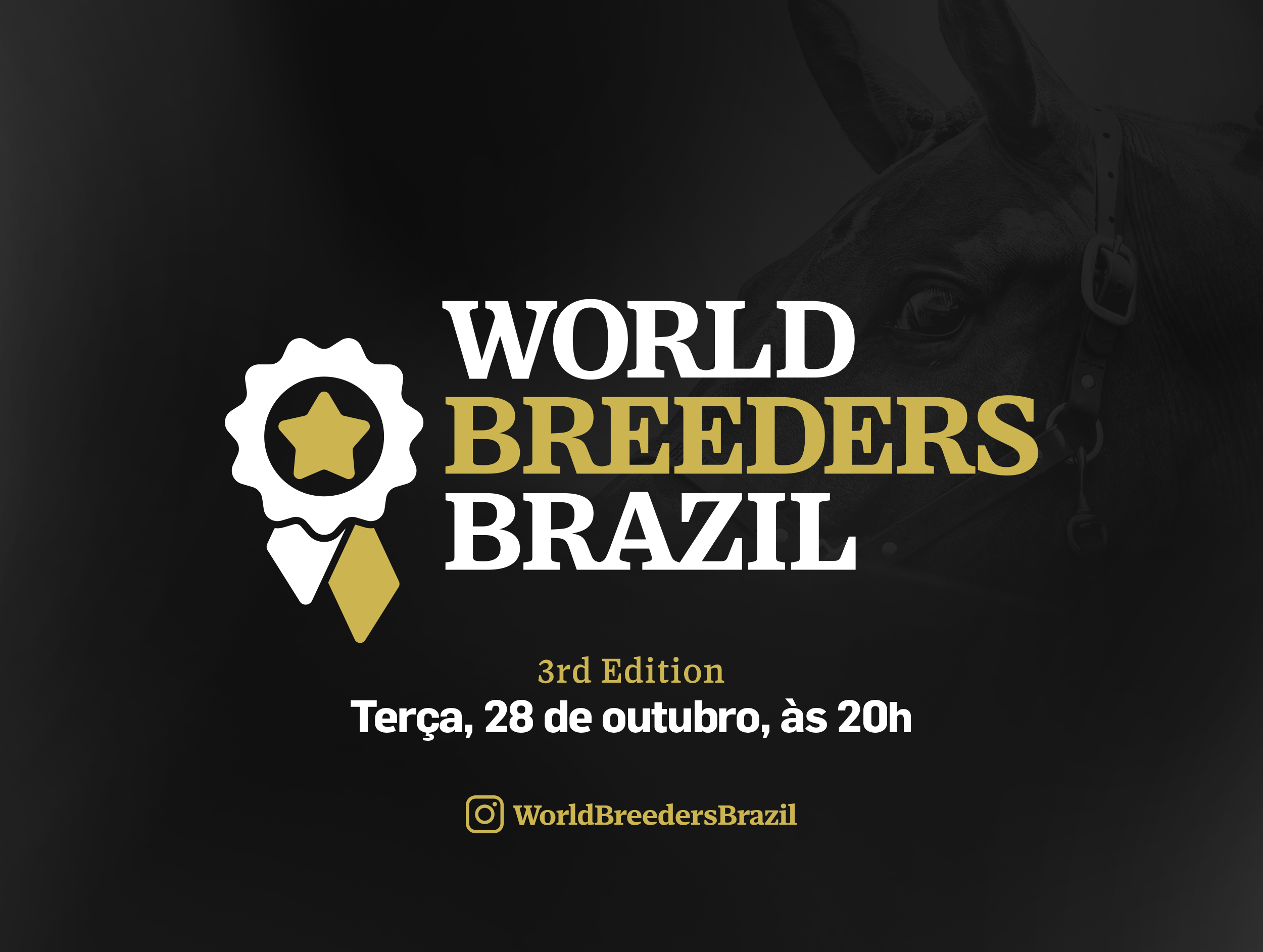 LEILÃO WORLD BREEDERS BRAZIL - 3RD EDITION