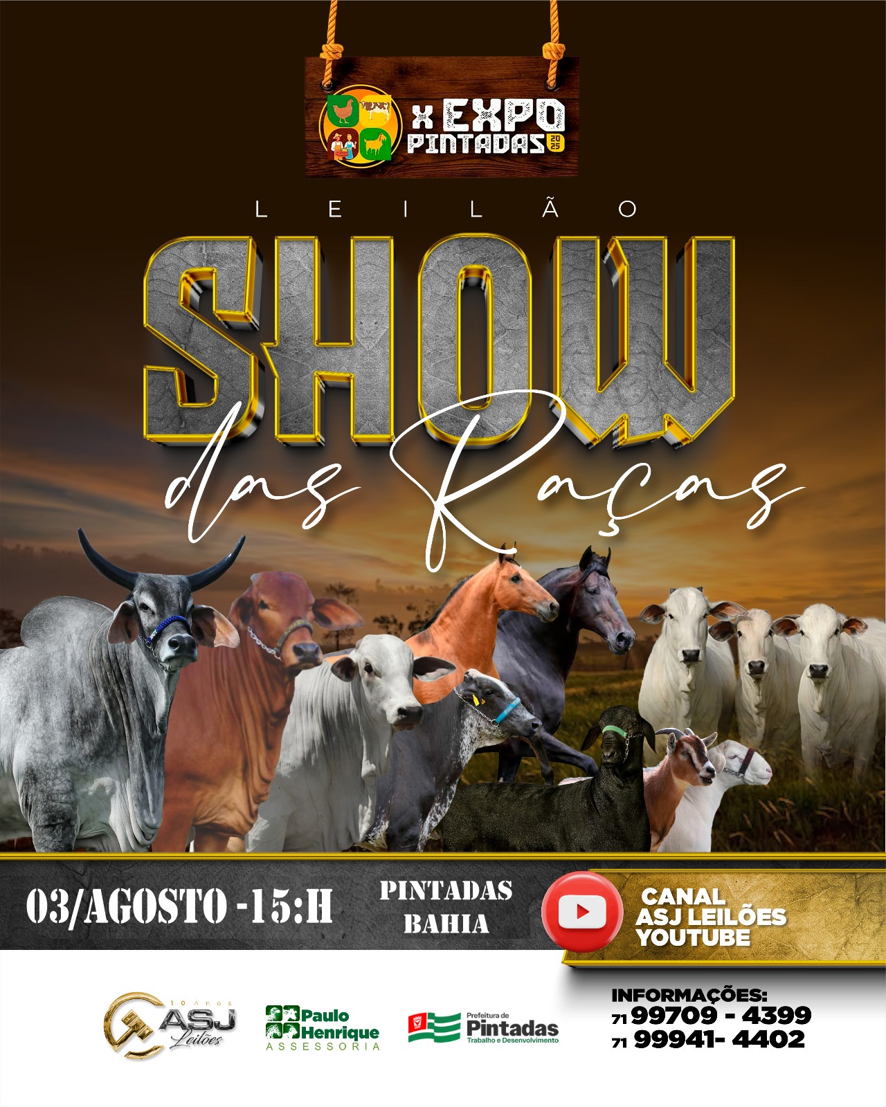 LEILÃO SHOW DAS RAÇAS  - PINTADAS