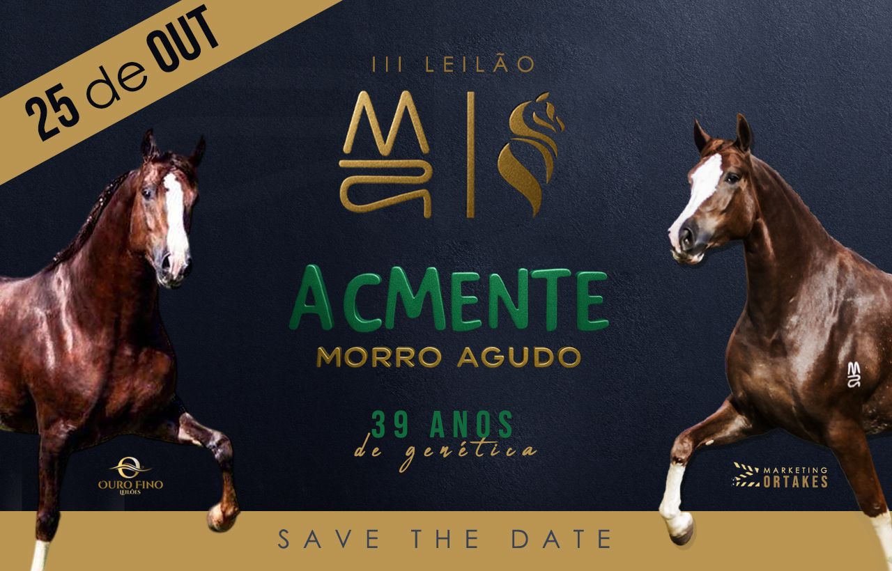 3º LEILÃO GENÉTICA ACMENTE MORRO AGUDO