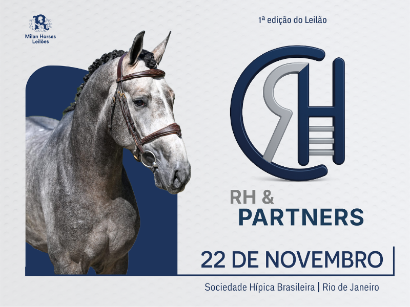LEILÃO RH AND PARTNERS