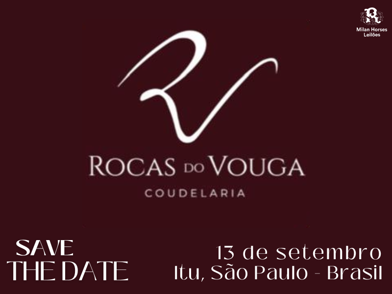LEILÃO COUDELARIA ROCAS DO VOUGA