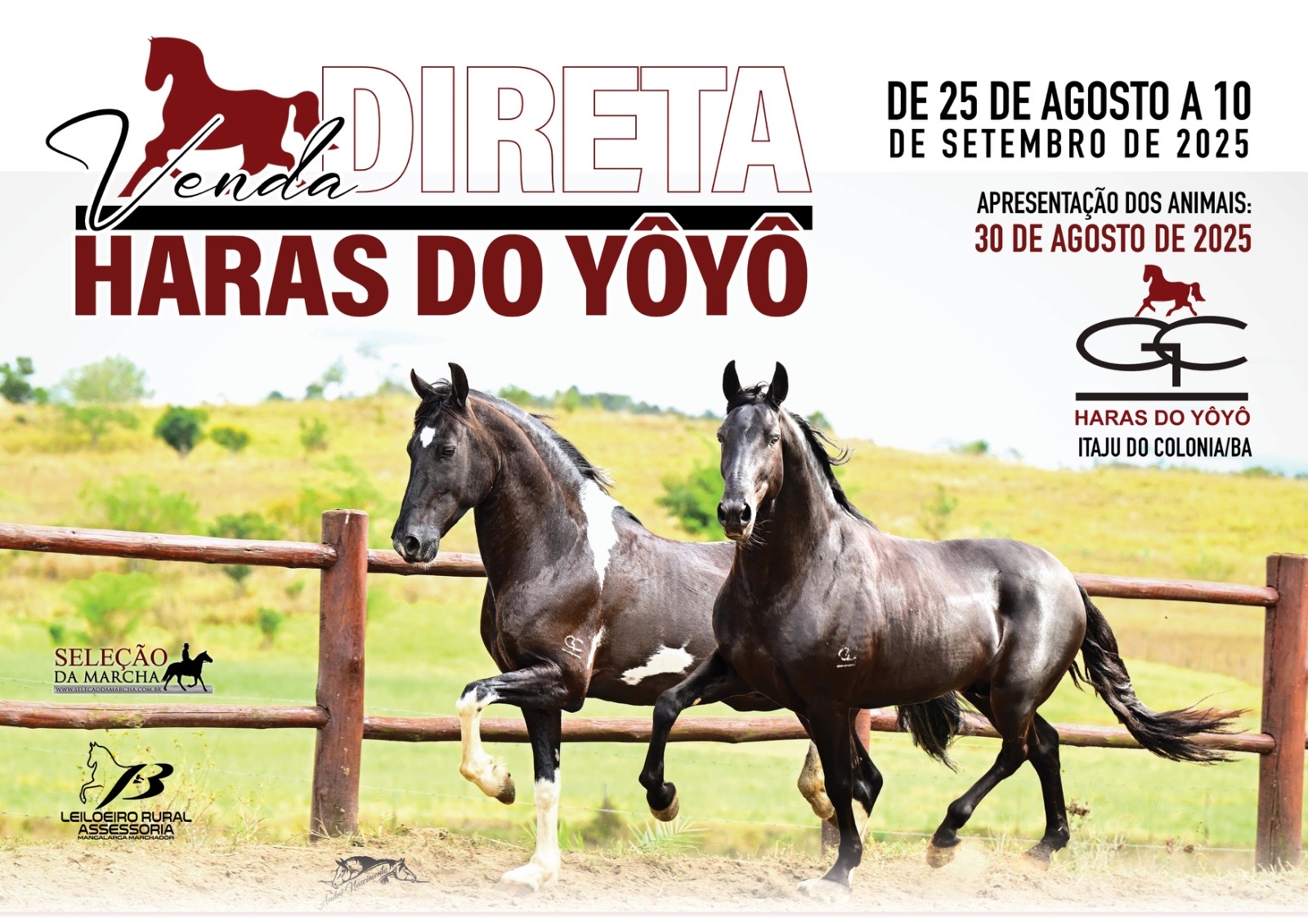 Imagem Evento