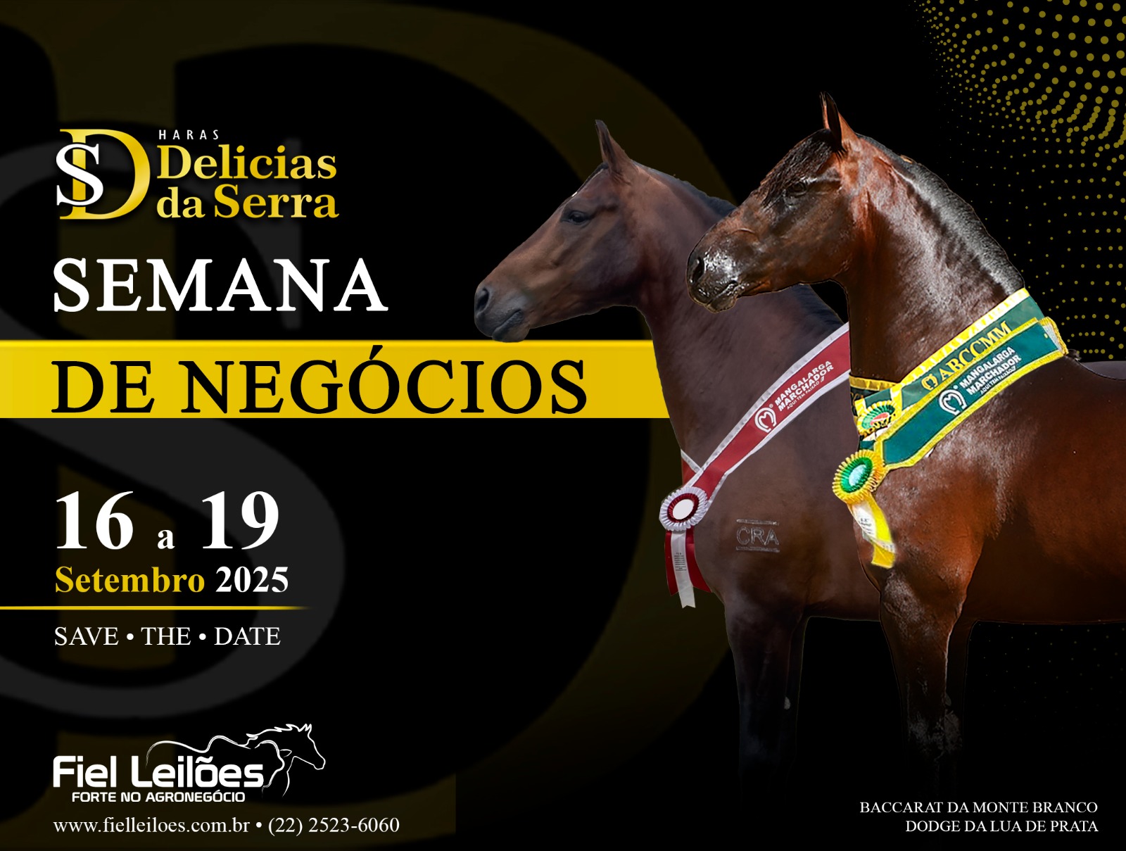 Banner Leilão