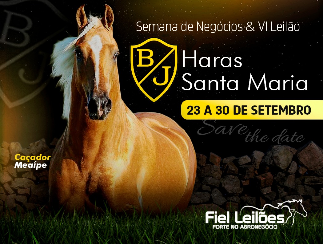 Banner Leilão