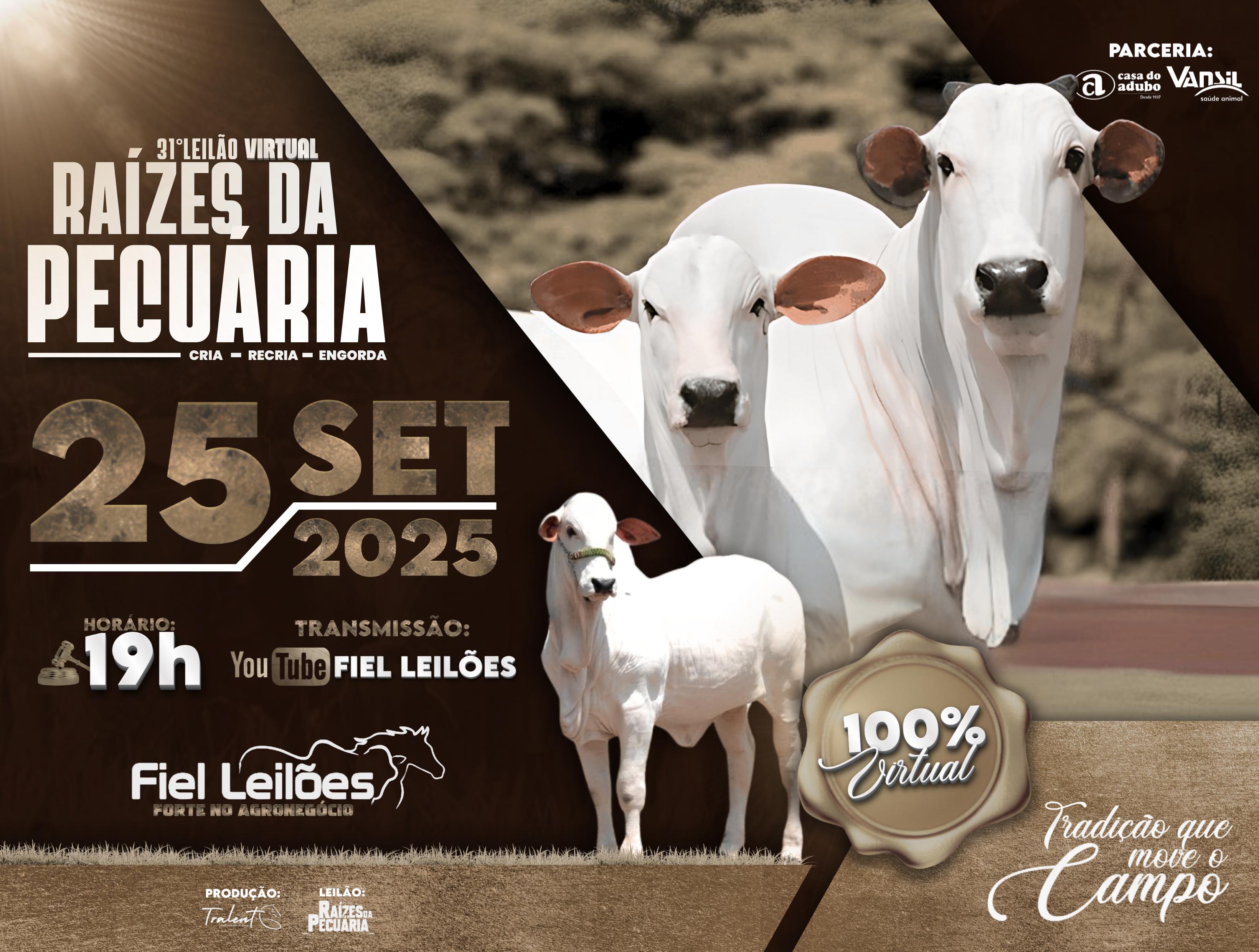 Banner Leilão
