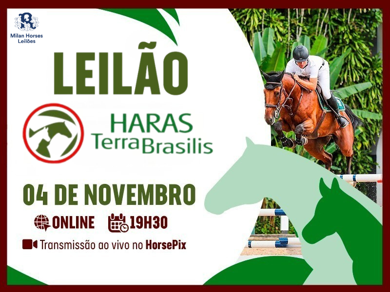 LEILÃO HARAS TERRA BRASILIS