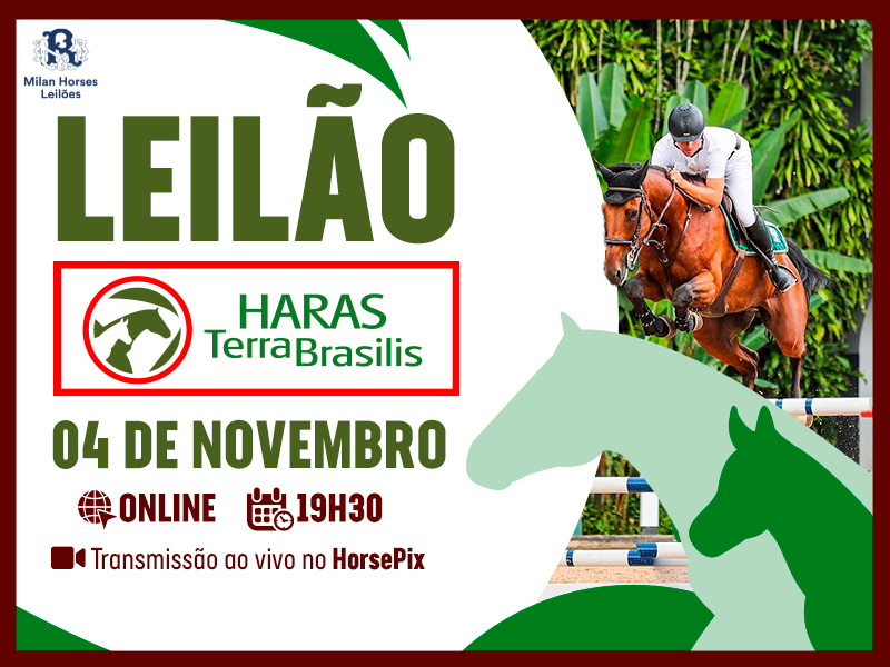 LEILÃO HARAS TERRA BRASILIS