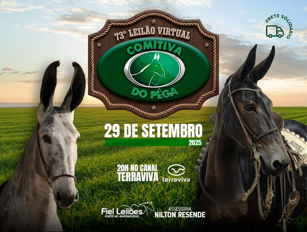 Banner Leilão