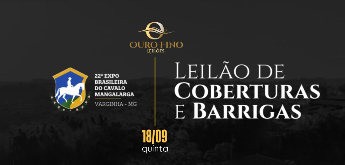 LEILÃO DE COBERTURAS E BARRIGAS