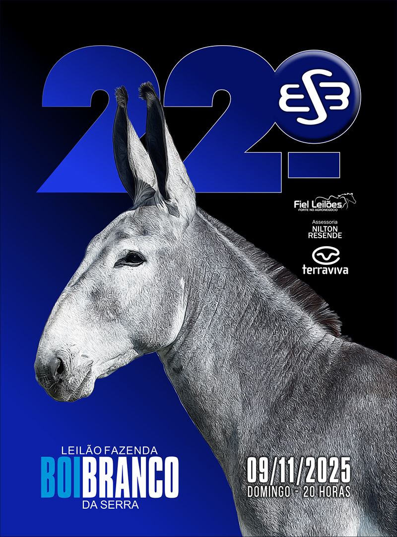 Banner Leilão