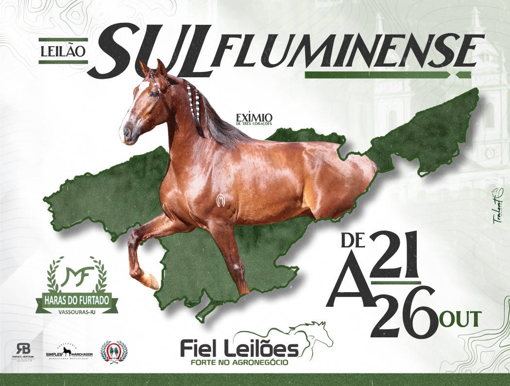 Banner Leilão