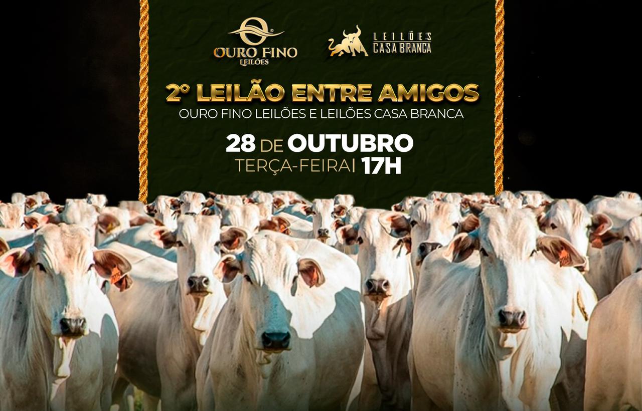 2º LEILÃO ENTRE AMIGOS