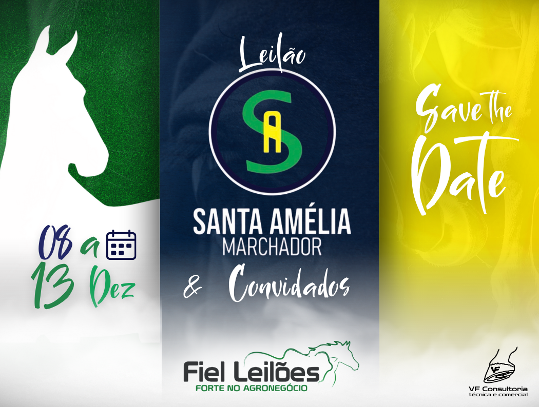Banner Leilão