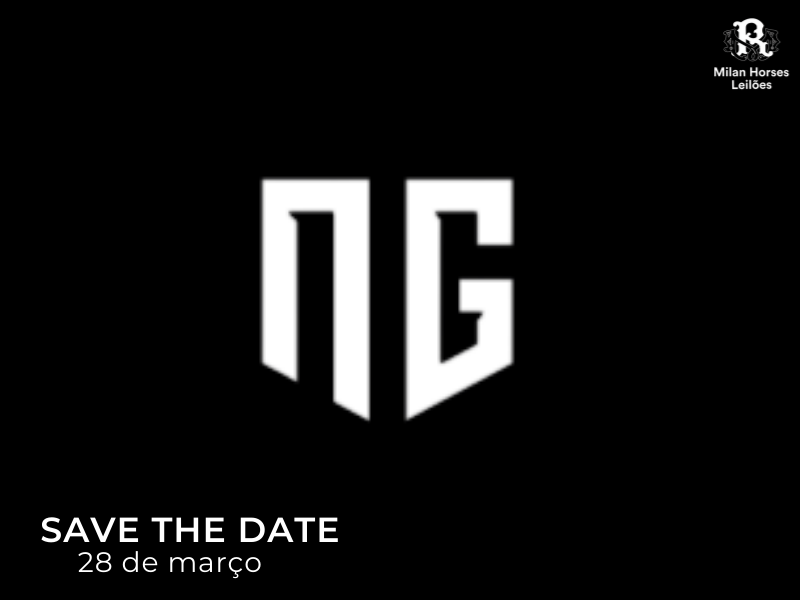 LEILÃO NEXT GENERATION