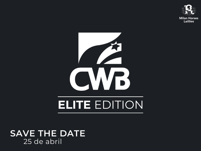 LEILÃO  ELITE EDITION 26