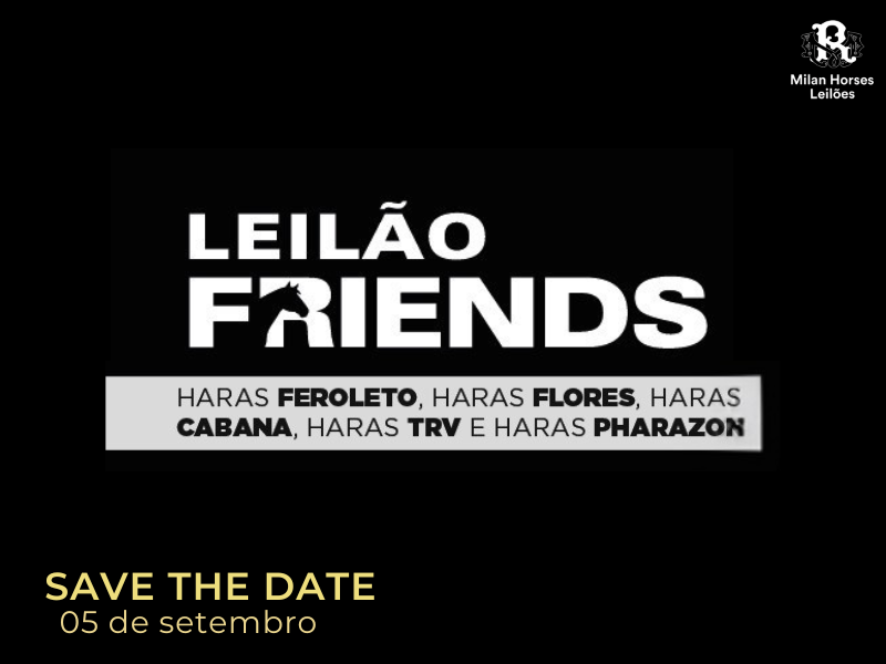 LEILÃO FRIENDS ANIVERSÁRIO CHSA