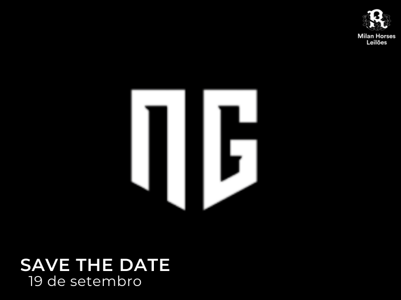 LEILÃO NEXT GENERATION INDOOR