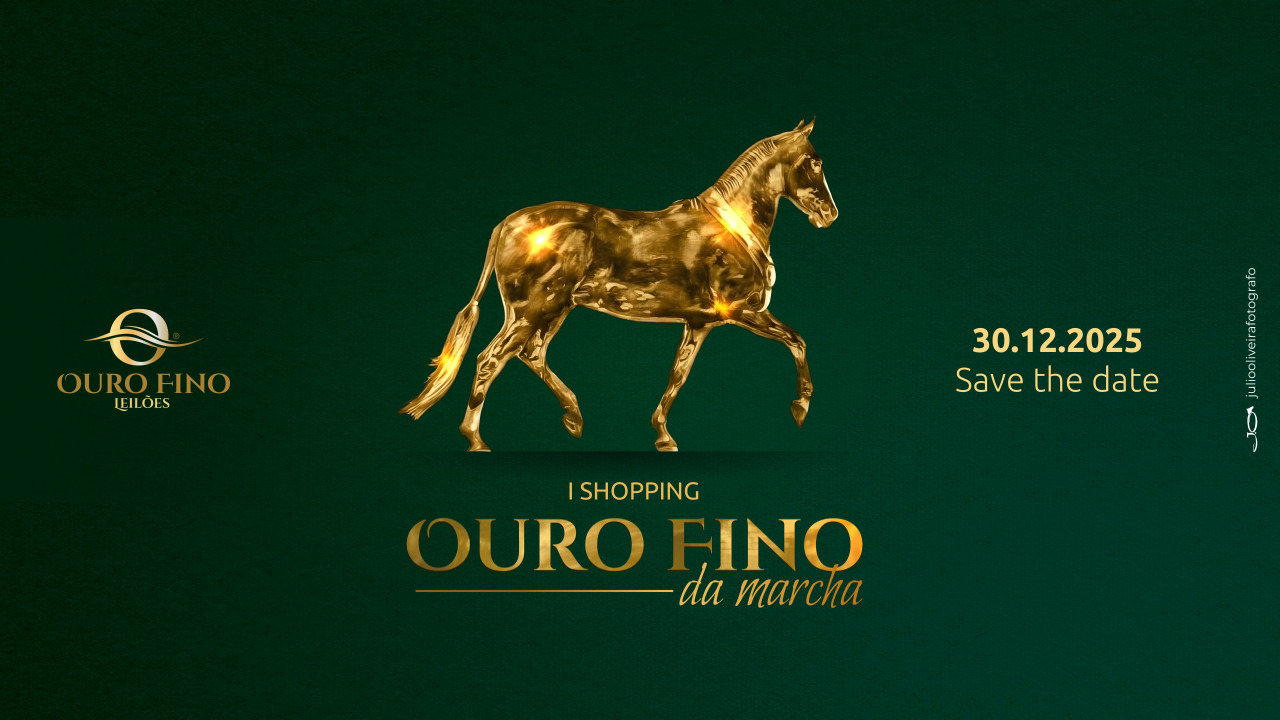 I SHOPPING OURO FINO DA MARCHA