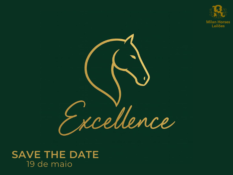 LEILÃO EXCELLENCE