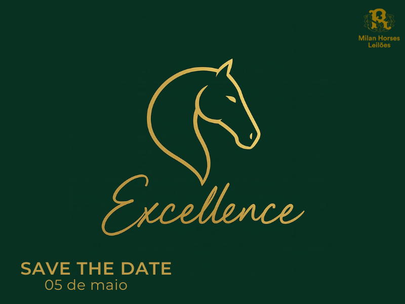 LEILÃO EXCELLENCE