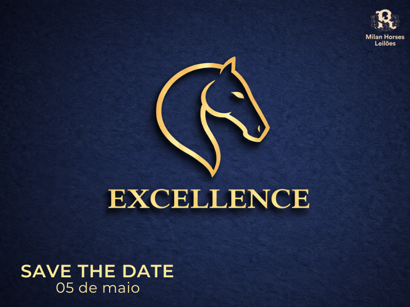 LEILÃO EXCELLENCE