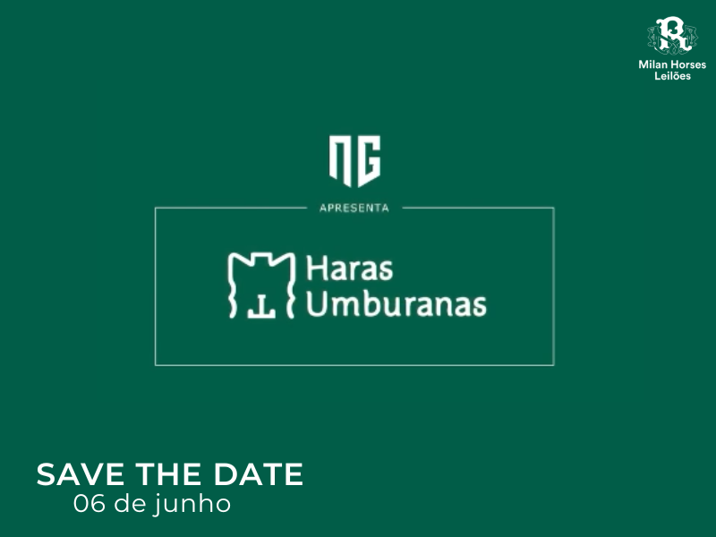 2º LEILÃO HARAS UMBURANAS