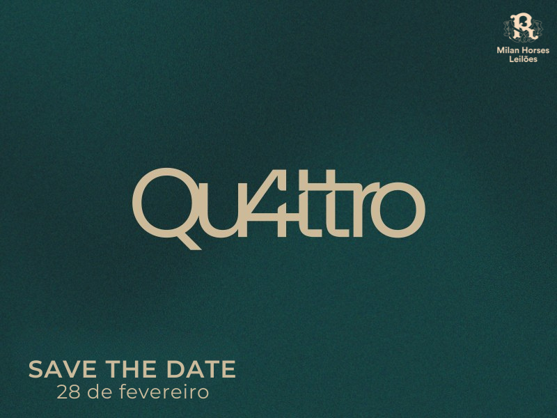 LEILÃO QUATTRO 1ª EDIÇÃO