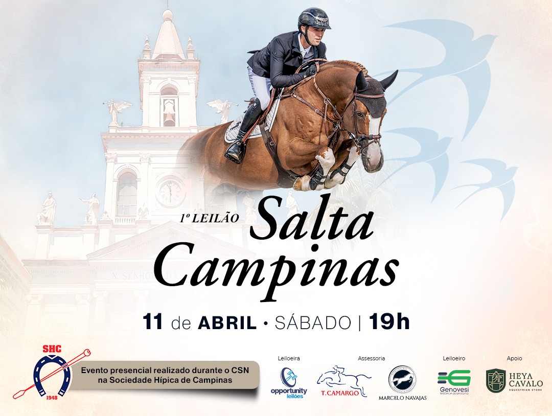 1º LEILÃO SALTA CAMPINAS