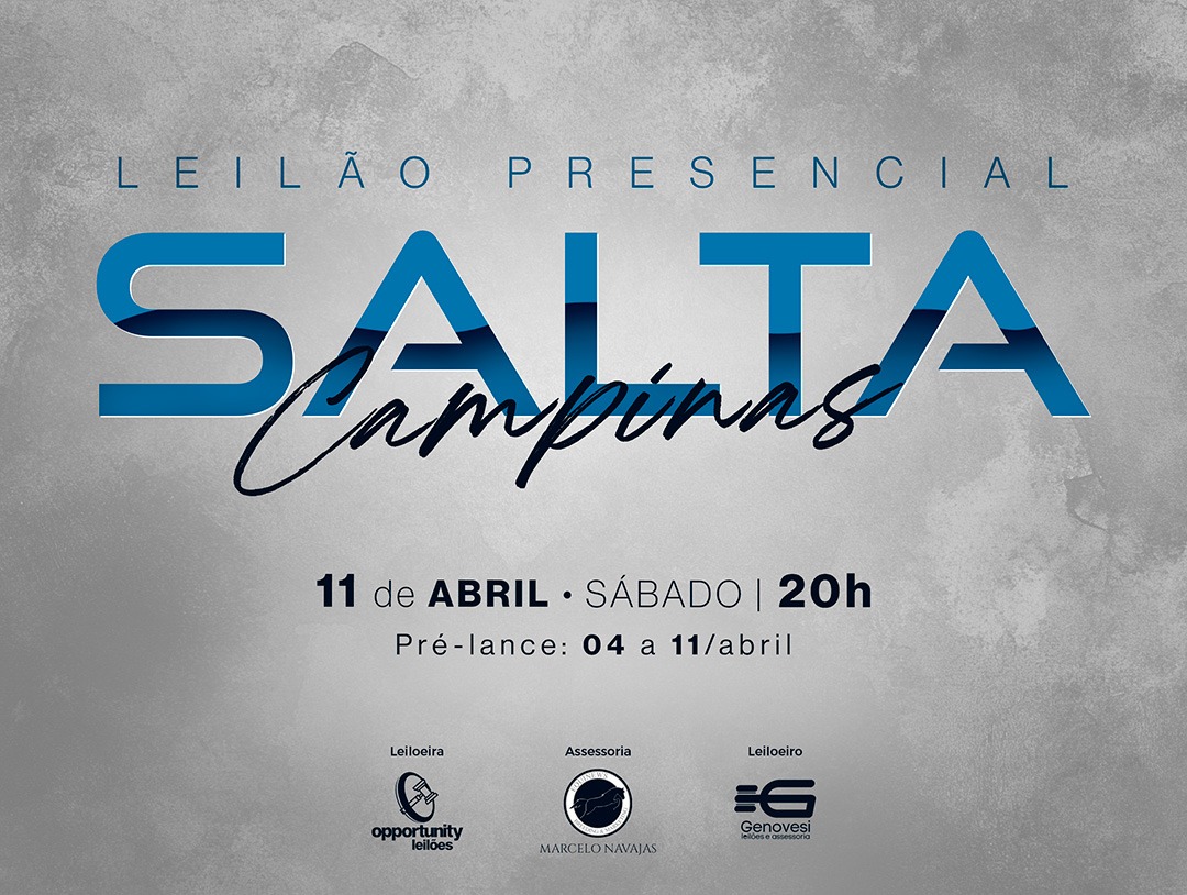 LEILÃO PRESENCIAL SALTA CAMPINAS
