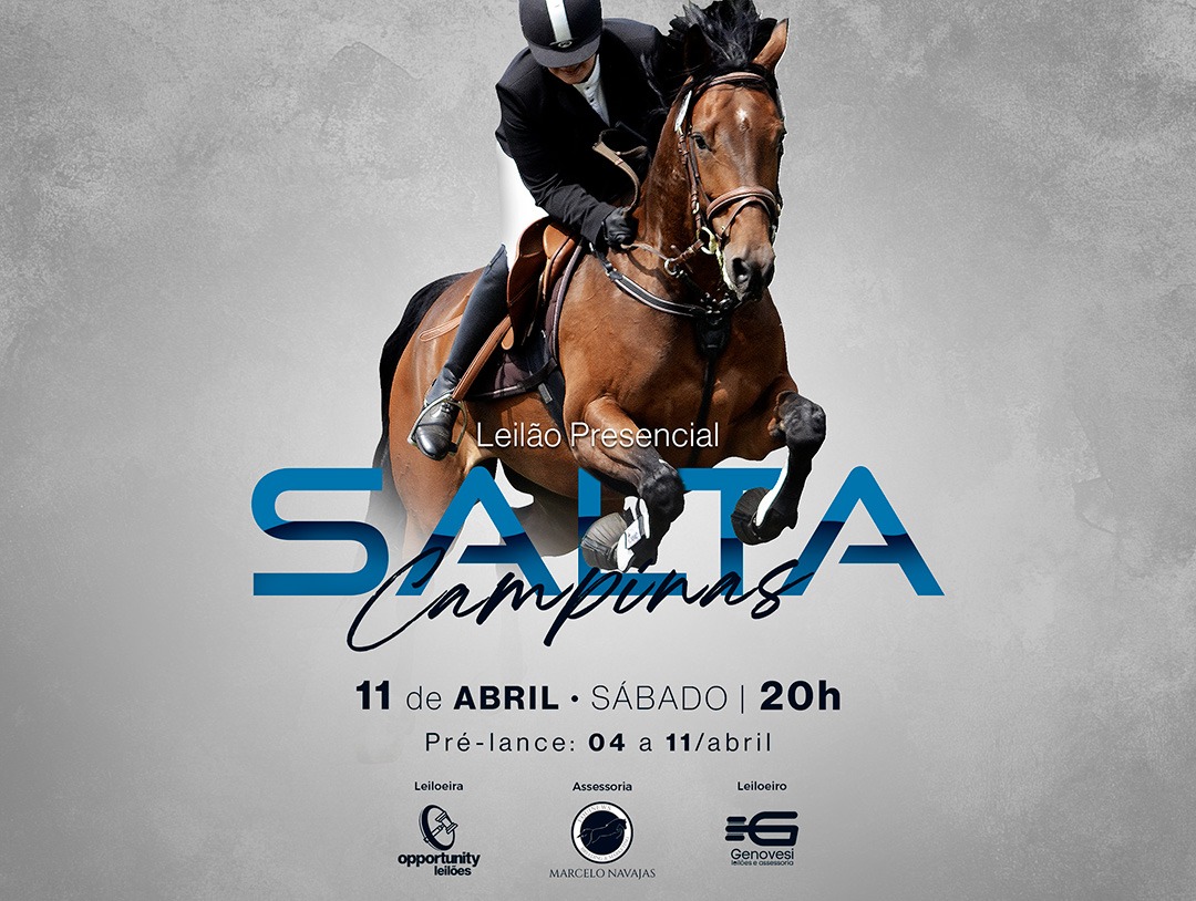 LEILÃO PRESENCIAL SALTA CAMPINAS