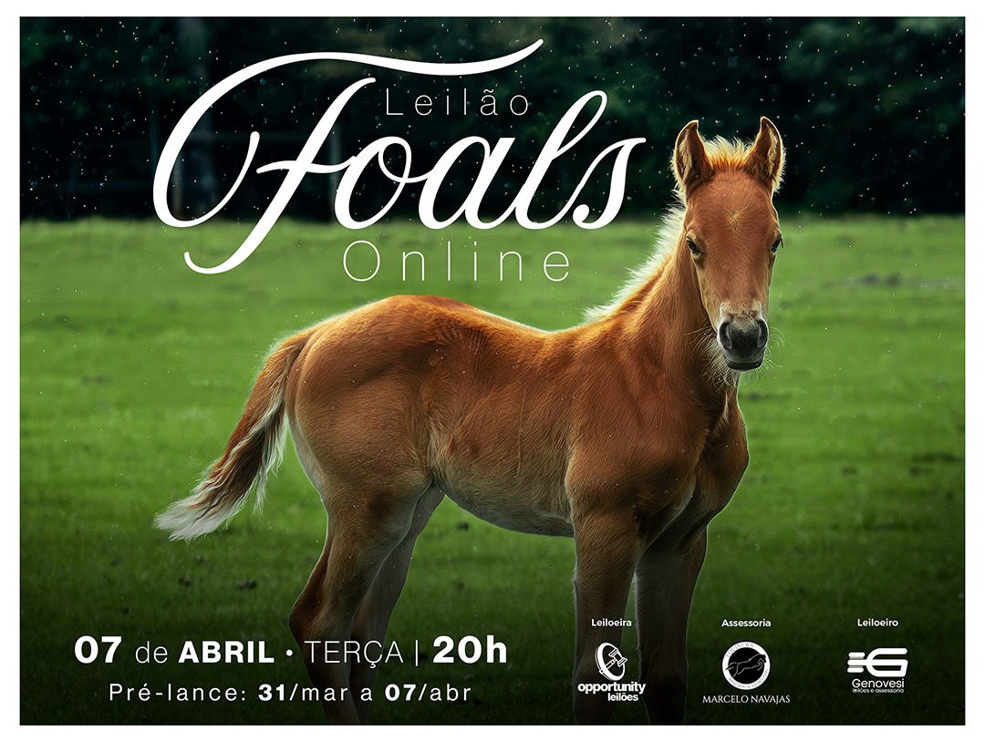 LEILÃO FOALS ONLINE