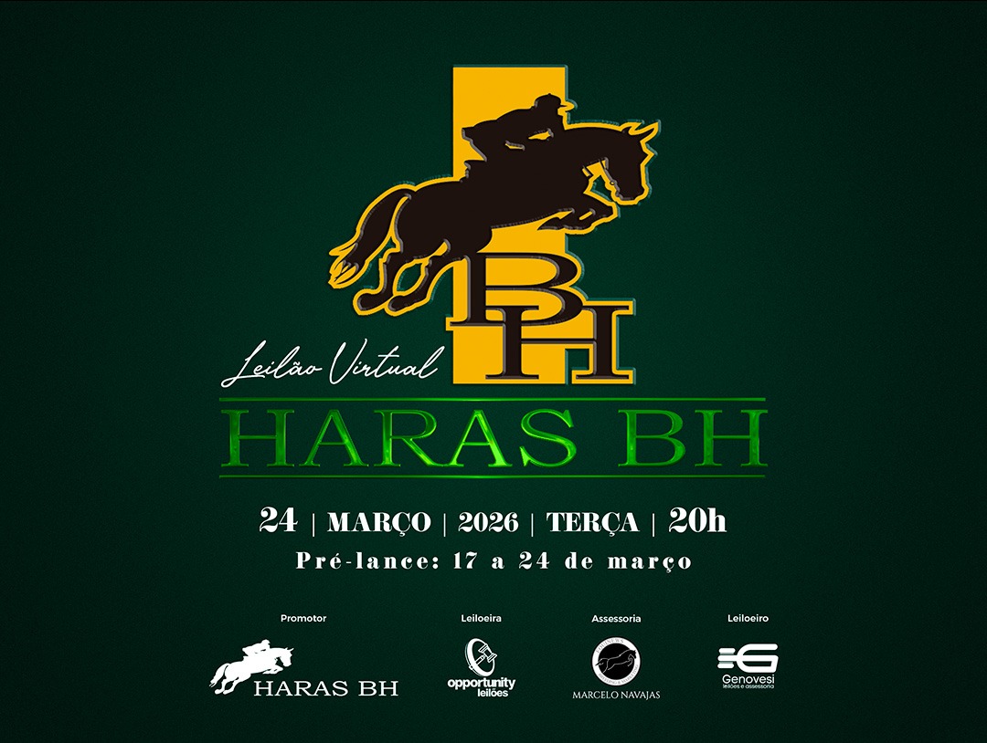 LEILÃO VIRTUAL HARAS BH