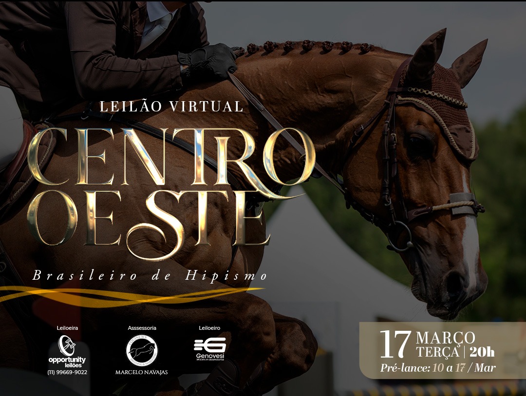 LEILÃO VIRTUAL CENTRO OESTE - BH