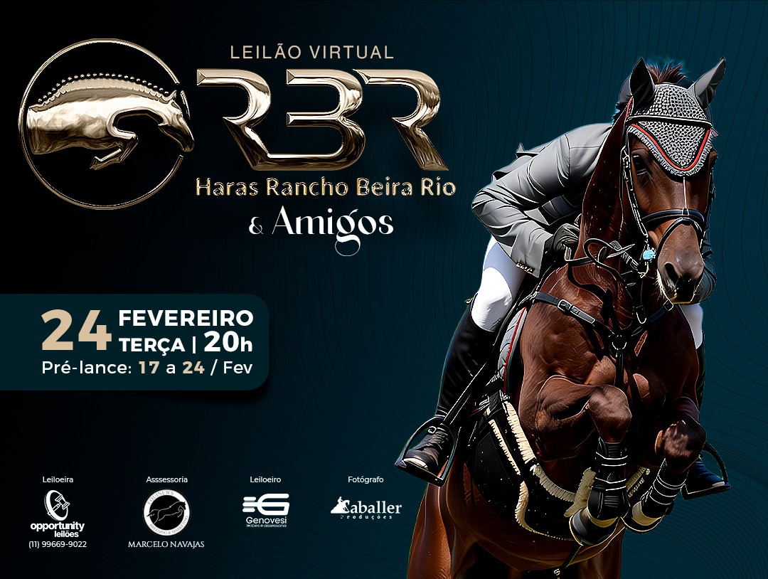 LEILÃO VIRTUAL RBR & AMIGOS
