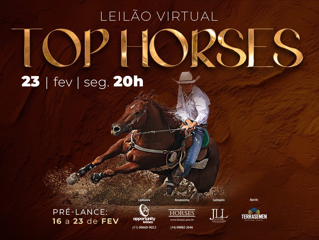 LEILÃO VIRTUAL TOP HORSES