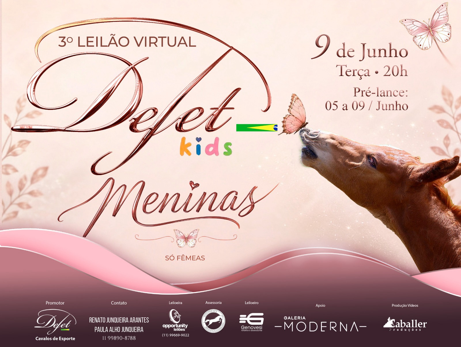3° LEILÃO VIRTUAL DEJET KIDS - MENINAS